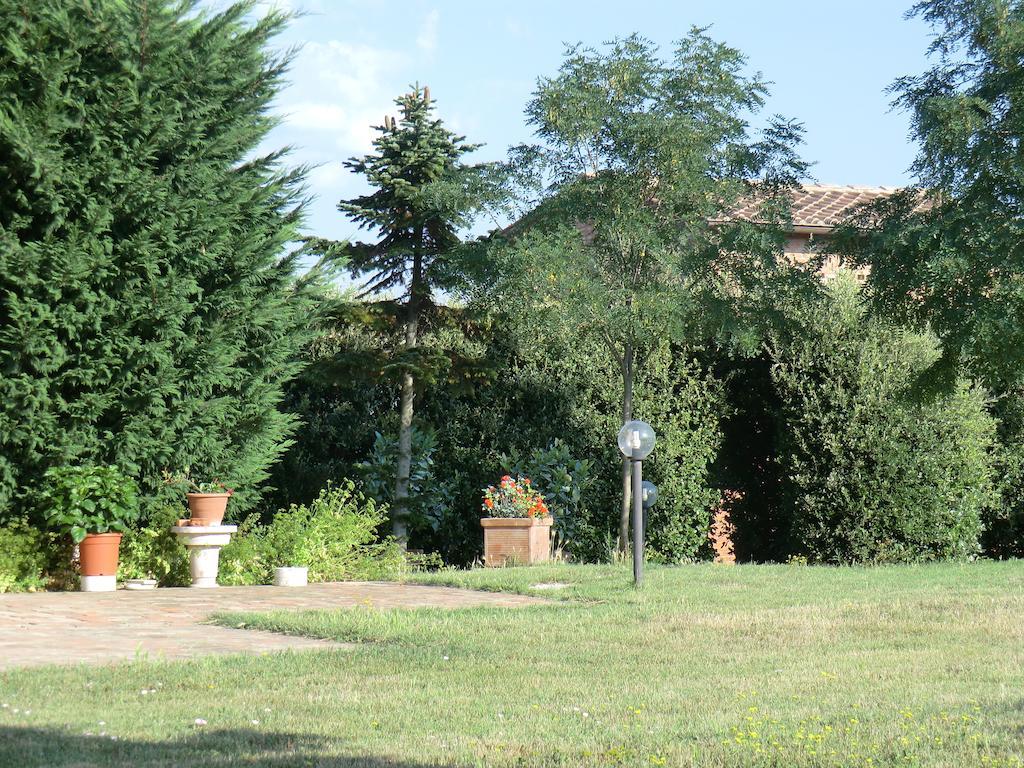Agriturismo Podernuovo Asciano Exteriér fotografie