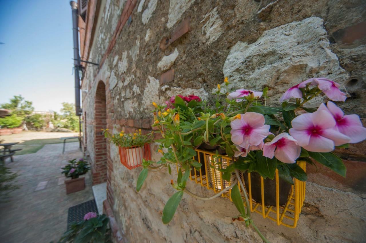 Agriturismo Podernuovo Asciano Exteriér fotografie